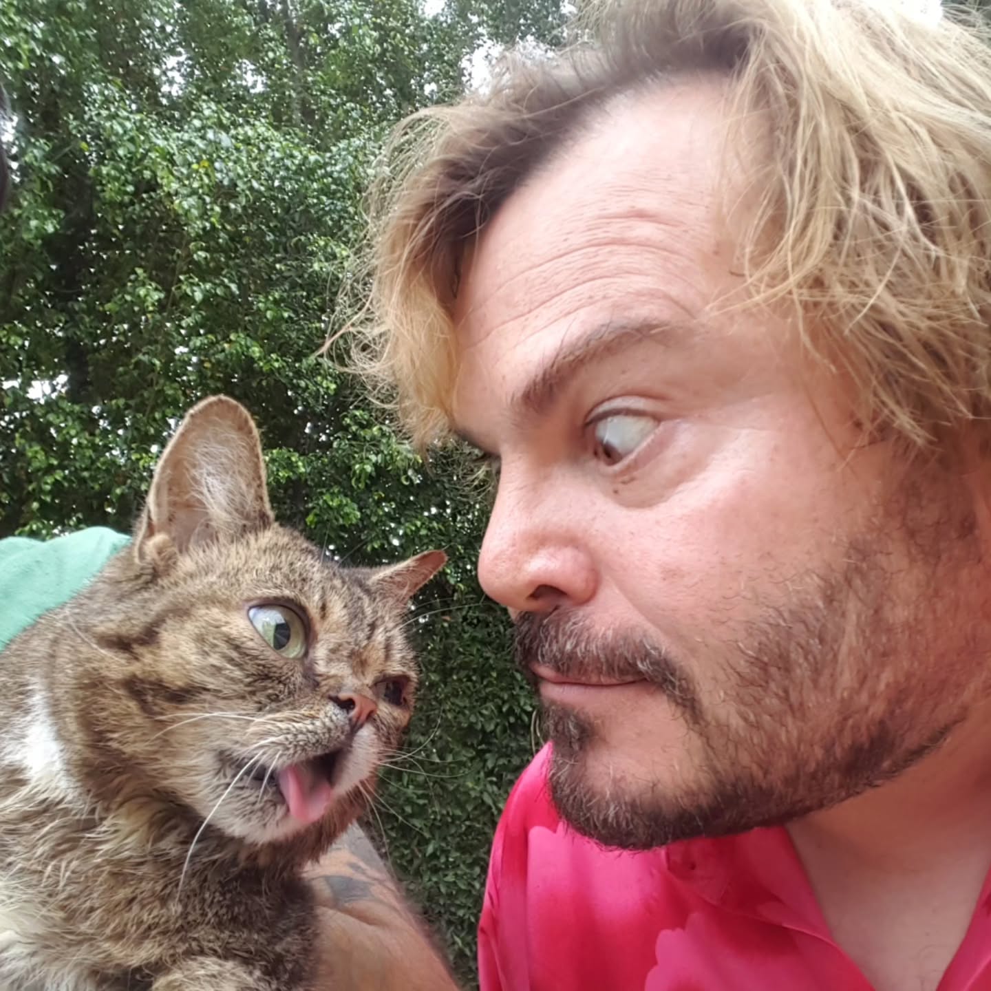Lil BUB sharing a playful stare-down with Jack Black